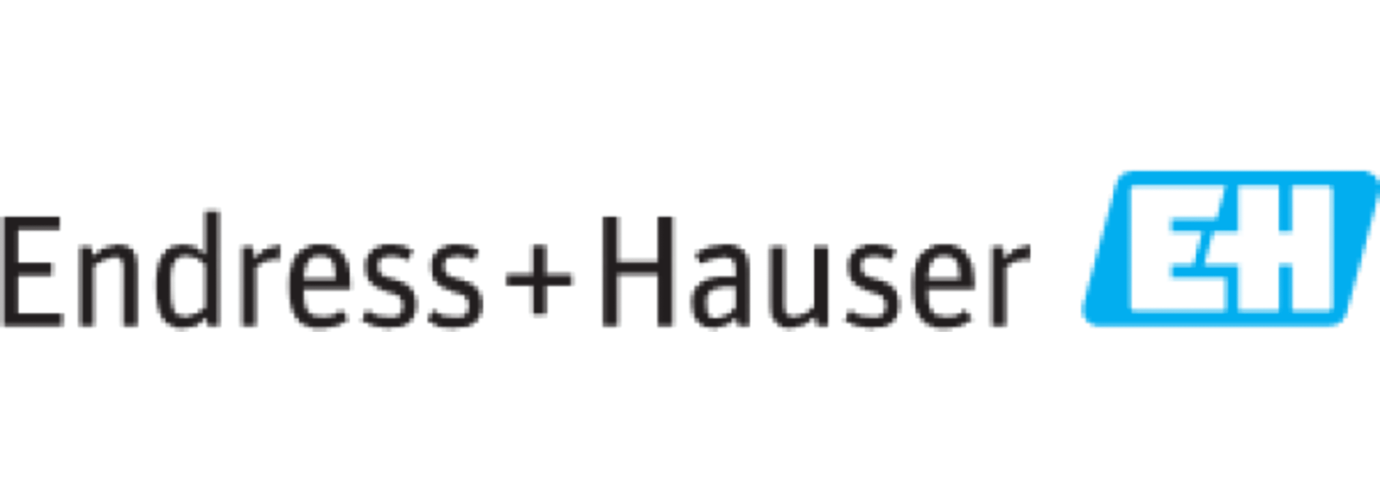 Endress and Hauser image